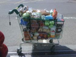 Food Trolley